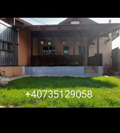 Central City House Tulcea Ngoại thất bức ảnh