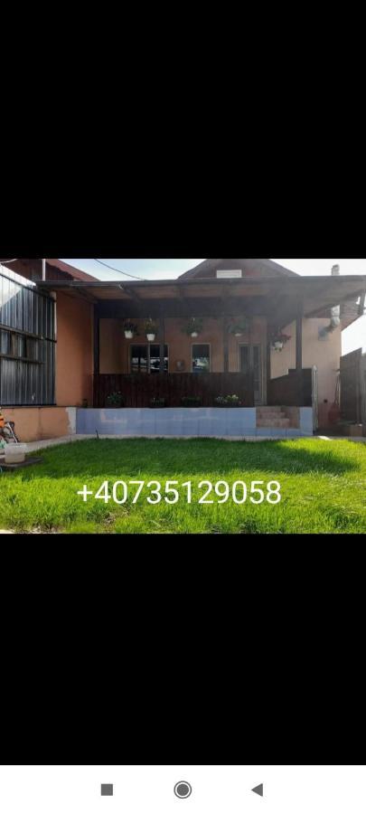Central City House Tulcea Ngoại thất bức ảnh